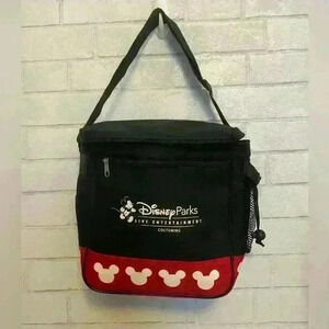 Disney parks live entertainment costuming lunch bag